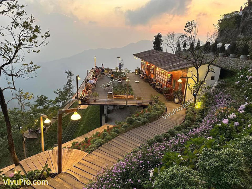 tiệm cà phê nhiêt đới tam đảo